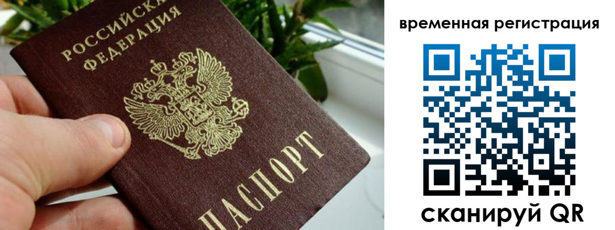 прописка поиск в Щёкино